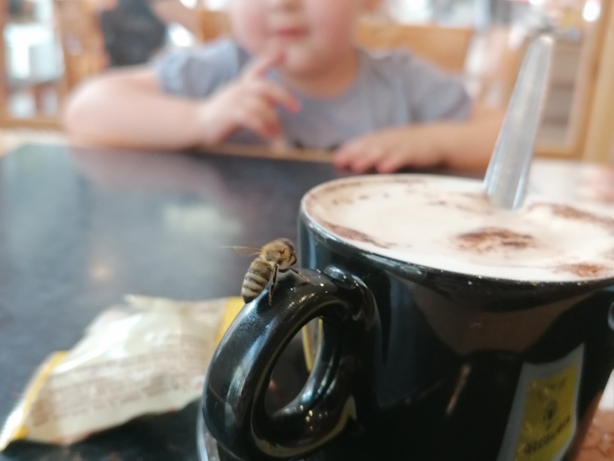 Sechs Monate Blutkrebs